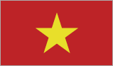 Vietnam Flag icon